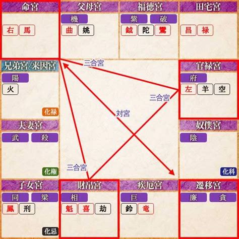 紫微斗数 2024|紫微斗数占い｜あなたの「本質・性格・運命」を完全 